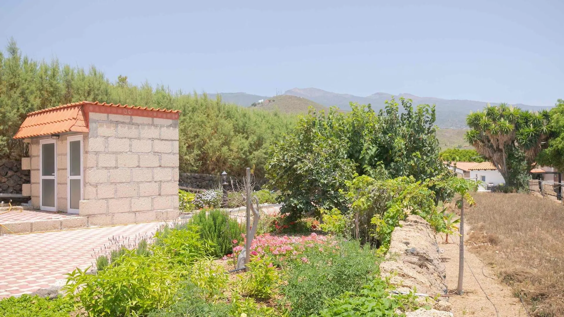 Holiday home Casa Wayra Villa Granadilla De Abona