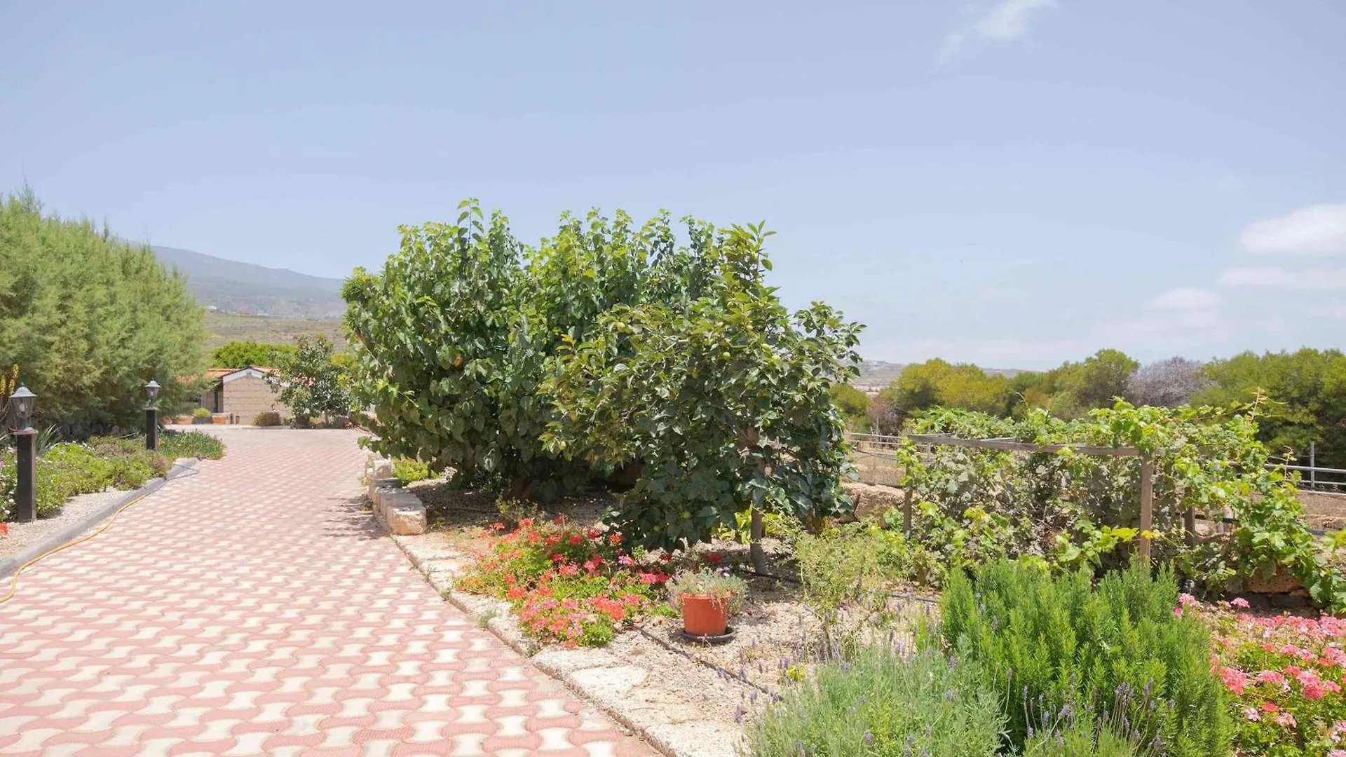 Casa Wayra Villa Granadilla De Abona Holiday home