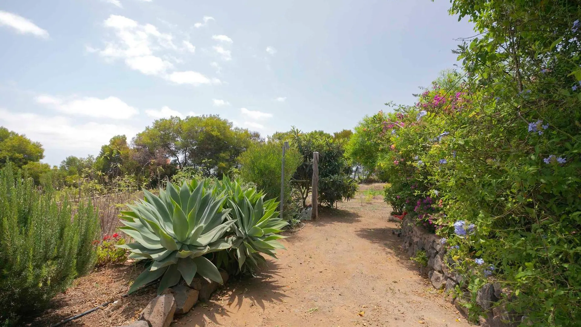 Holiday home Casa Wayra Villa Granadilla De Abona
